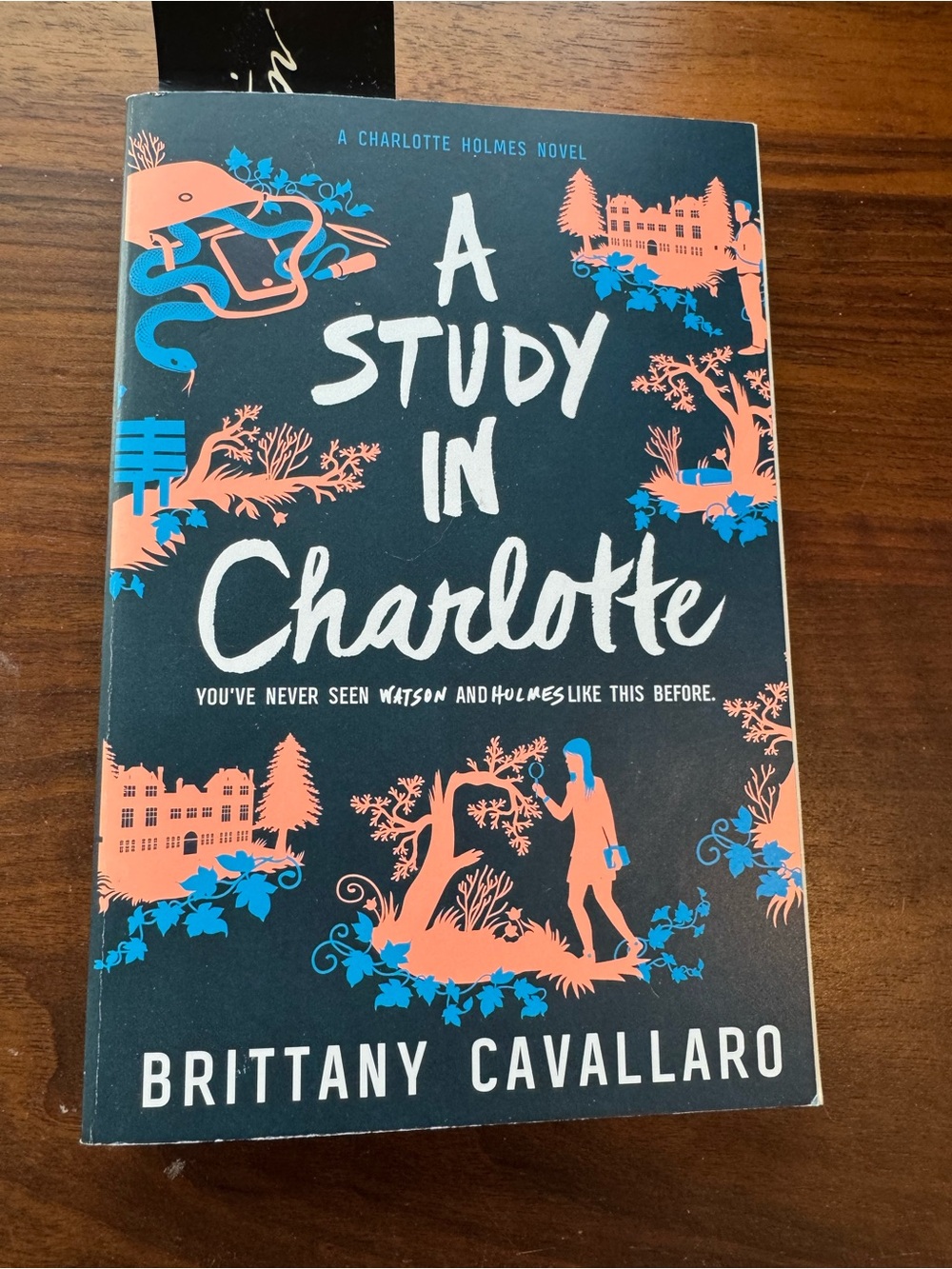 A Study in Charlotte YA novel by Brittany Cavallaro